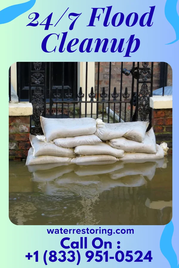 24/7 Flood Cleanup in Momence, IL