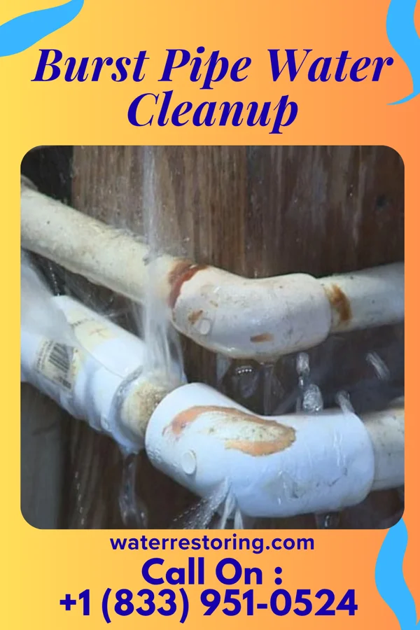 Burst Pipe Water Cleanup in Momence, IL