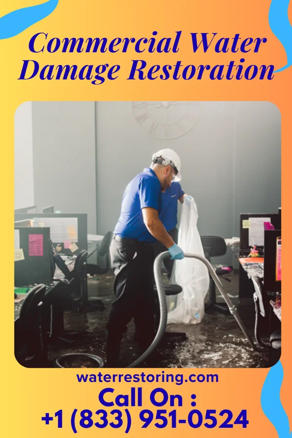 Commercial Water Damage Restoration in Momence, IL