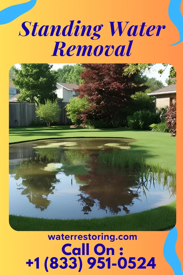 Standing Water Removal in Momence, IL